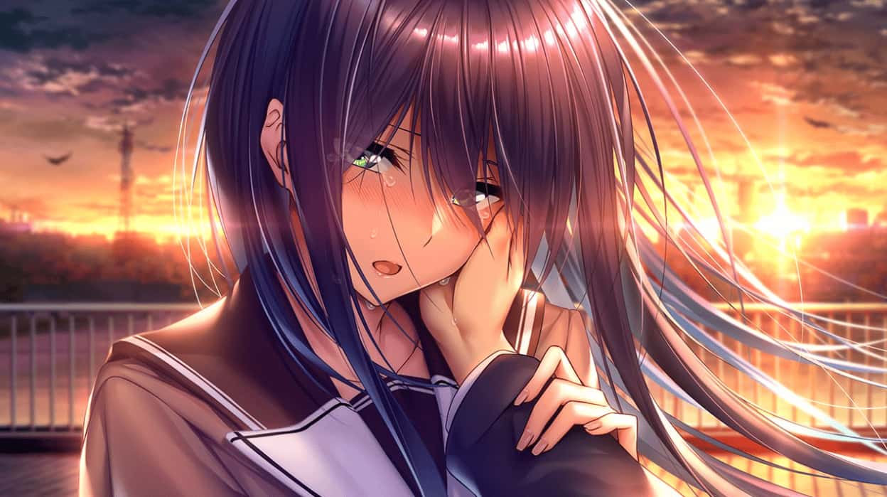 甜蜜女友2～Perfect Edition～ 版背景